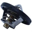 /res/site/img/allproducts/450x450_457714011_33565.jpg