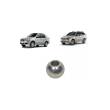 Esfera De Embreagem Palio Fiat 50002944