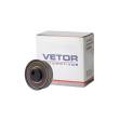 Rolamento Jac J6 2.0 16V 2012/2022 Vetor Vt8459