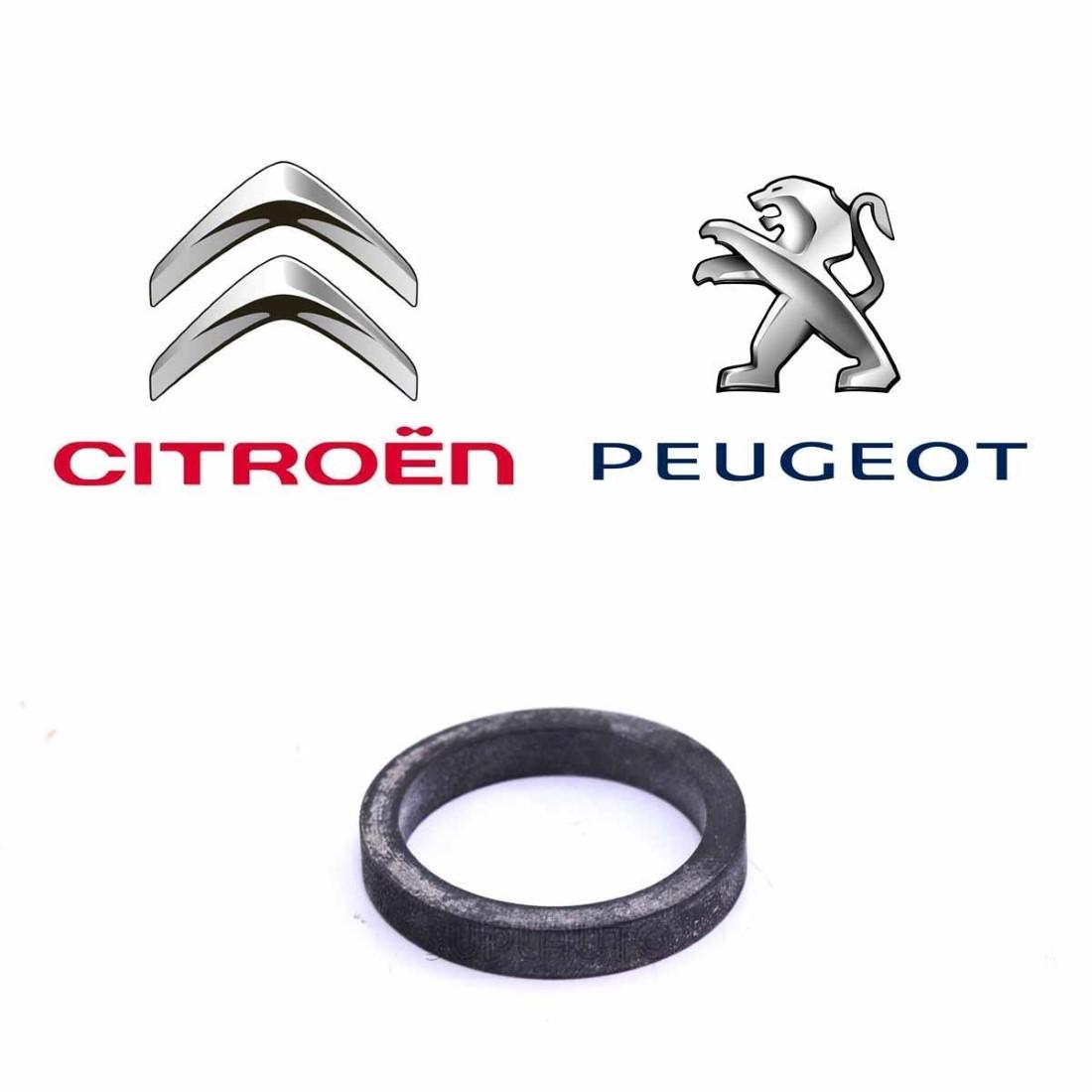 Anel Trocador De Calor Cambio Al4 Peugeot Citroen Psa 227552