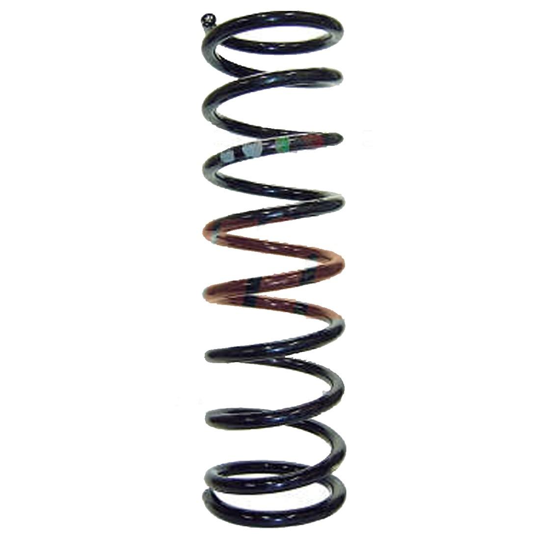Mola Espiral Traseira Ford Focus 2000/2008 Fama Al007M