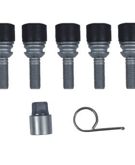 Kit Parafuso Antifurto Amarok/Touareg Vw 2H0698137