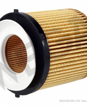 Filtro De Óleo Bmw Serie 3 X1 Z4 Wega Woe232