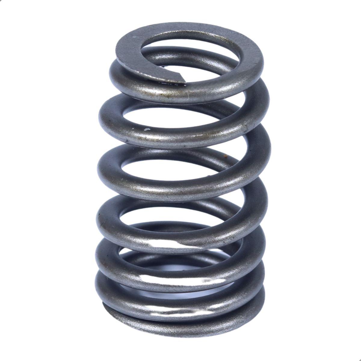 Kit Mola Valvula Corsa Prisma Celta Montana Onix Gm 93354443