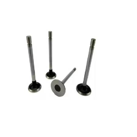 Valvula Motor Adm Ford Ka Fiesta Courier 8V Zetec Rocam Ric Ra1168