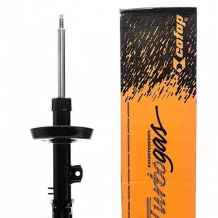 Amortecedor Dianteiro Ld Citroen C3 2003/2012 Kyb 339781