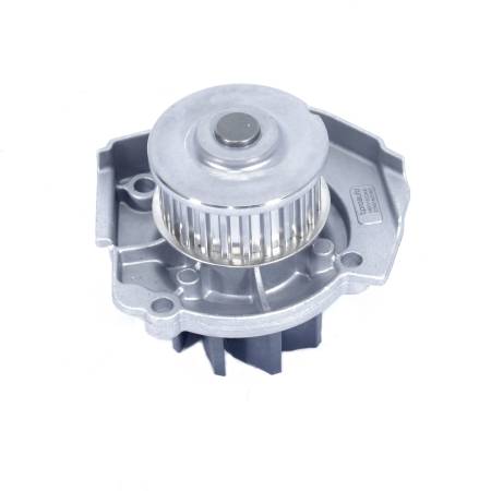 Bomba Dagua Palio Fire Grupo 1Bp31922Aa