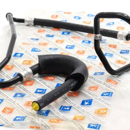 Mangueira Direcao Citroen Xsara Picasso 2001/ Psa 401297