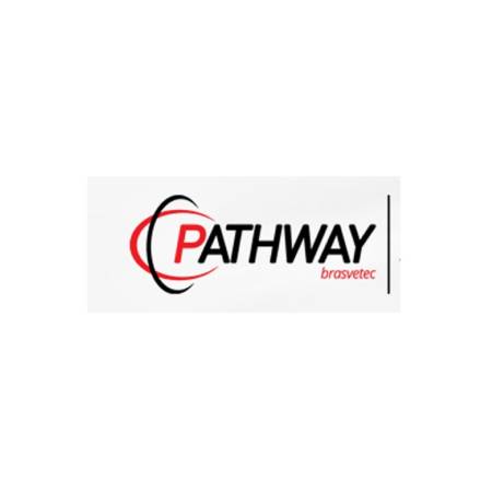 Junta Motor Ranger Duratorq Puma Transit 2.2 16V Diesel Tdci Pathway 10581R