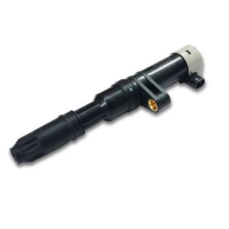 Bobina De Ignição Nissan Livina Renault Clio Kangoo Logan Delphi Ce20014