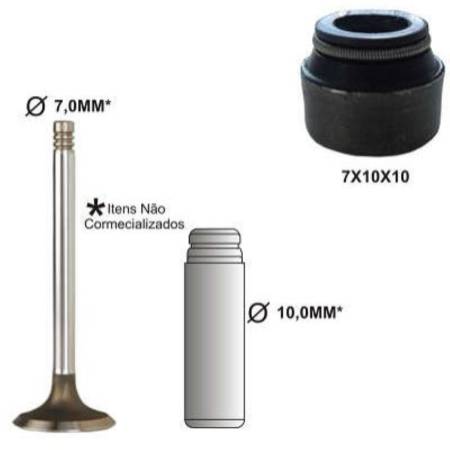 Retentor De Valvula Vw Gol 1.0 Fiat Tempra Tipo Palio Marea Bastos 1213044