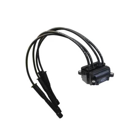 Bobina De Ignição Clio Sandero Kangoo Magneti Marelli Bi0026Mm
