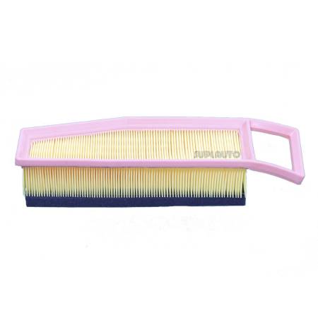 Filtro De Ar C3 1.6 16V 2023/ Wega Fap4895