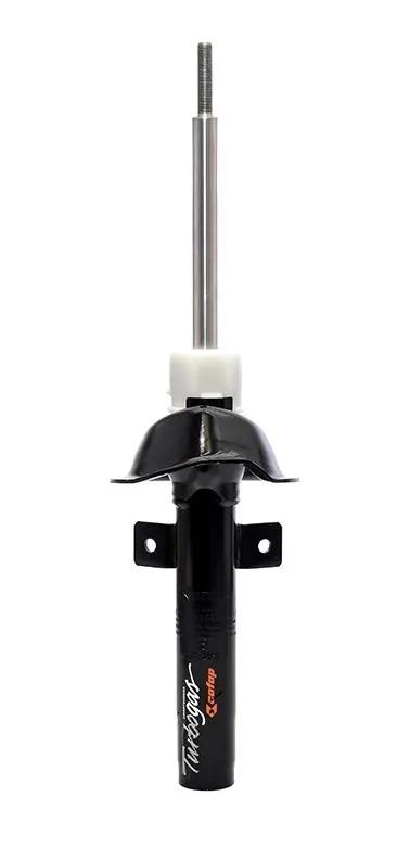 Amortecedor Dianteiro Par Ford Fiesta 96/ Cofap Gp30074
