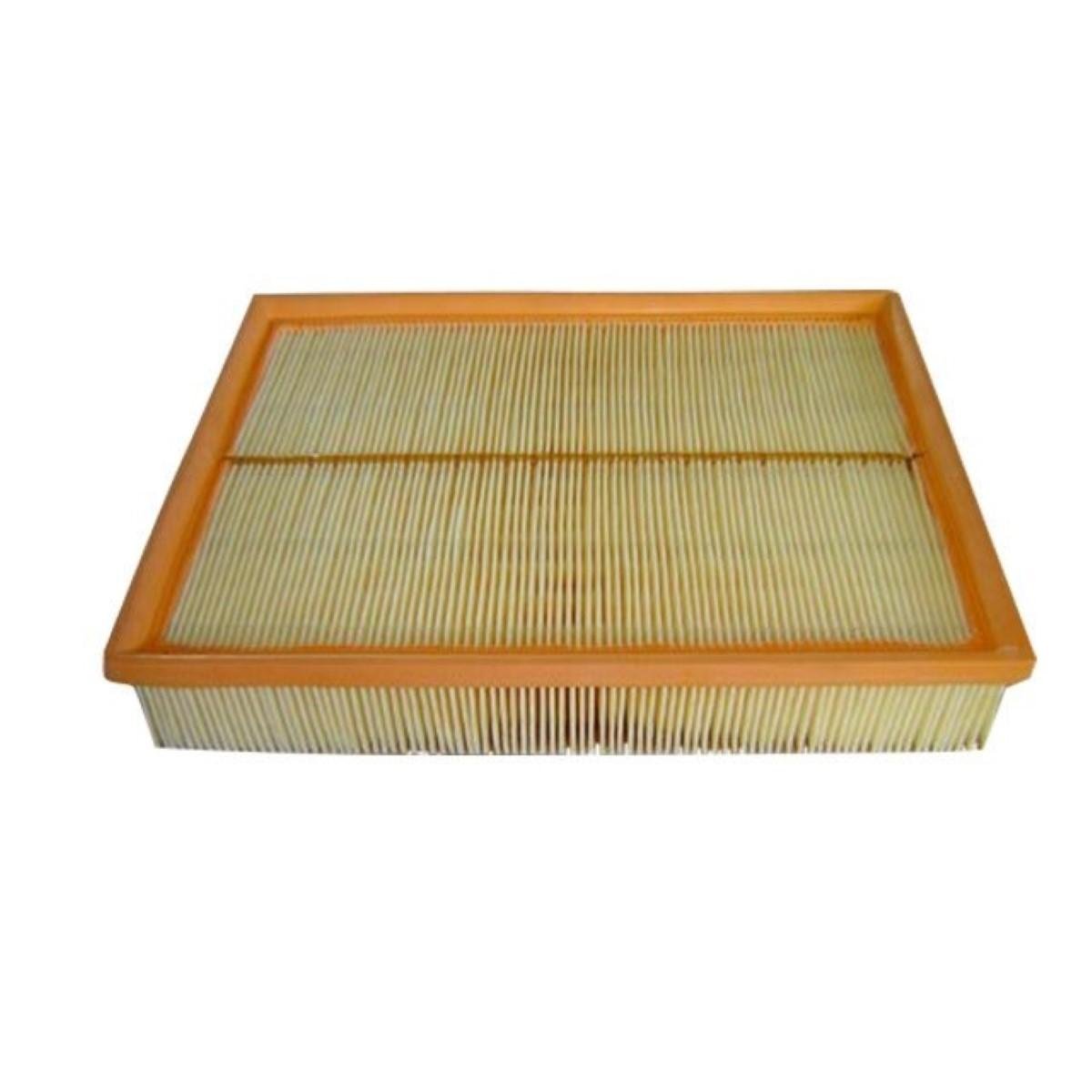 Filtro De Ar Discovery Iii Range Rover 2005/ Wega Fap9023