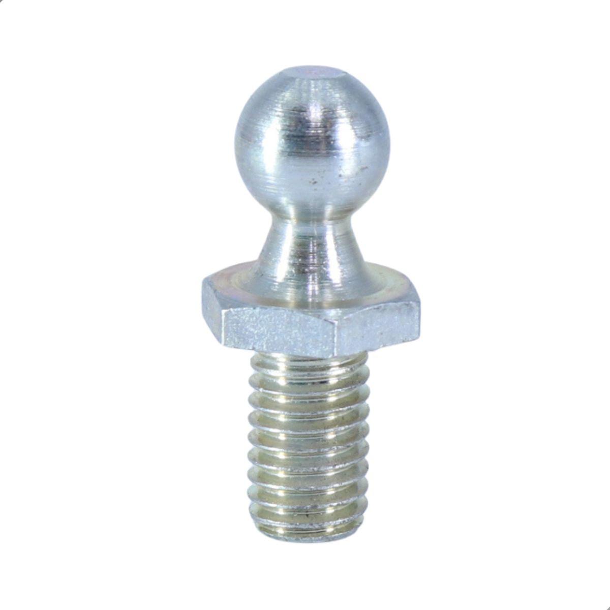 Amortecedor Vidro Tampa Traseira Rf2000 T4 01/05 Cofap 16231