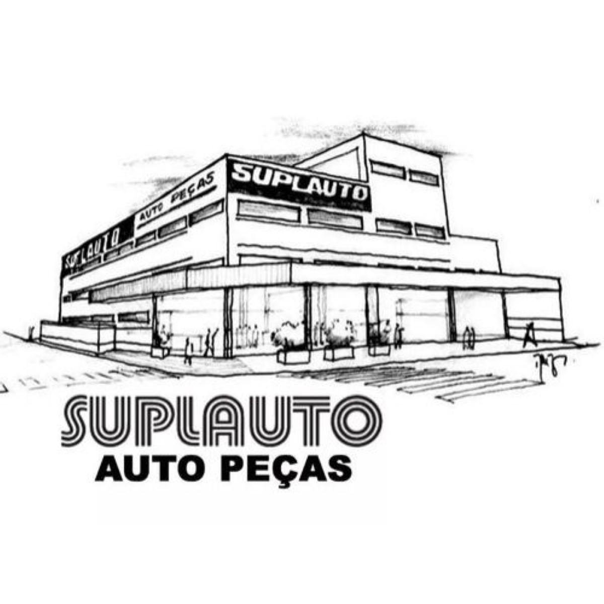 Filtro Ar Renault Captur Duster Logan Sandero Wega Fap9299