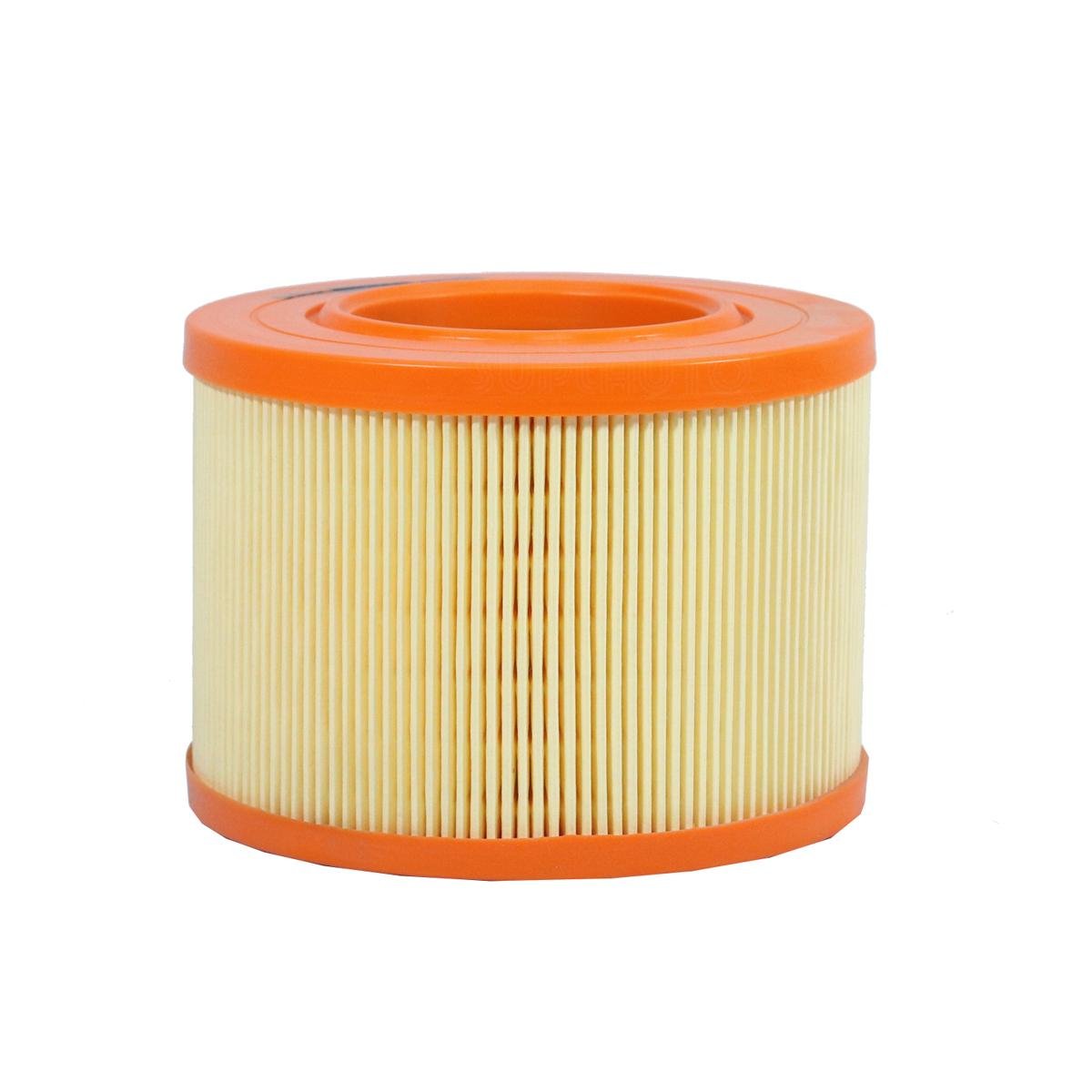 Filtro Ar Renault Clio Scenic 1.6 2.0 Gas 96/04 Fram Ca5229