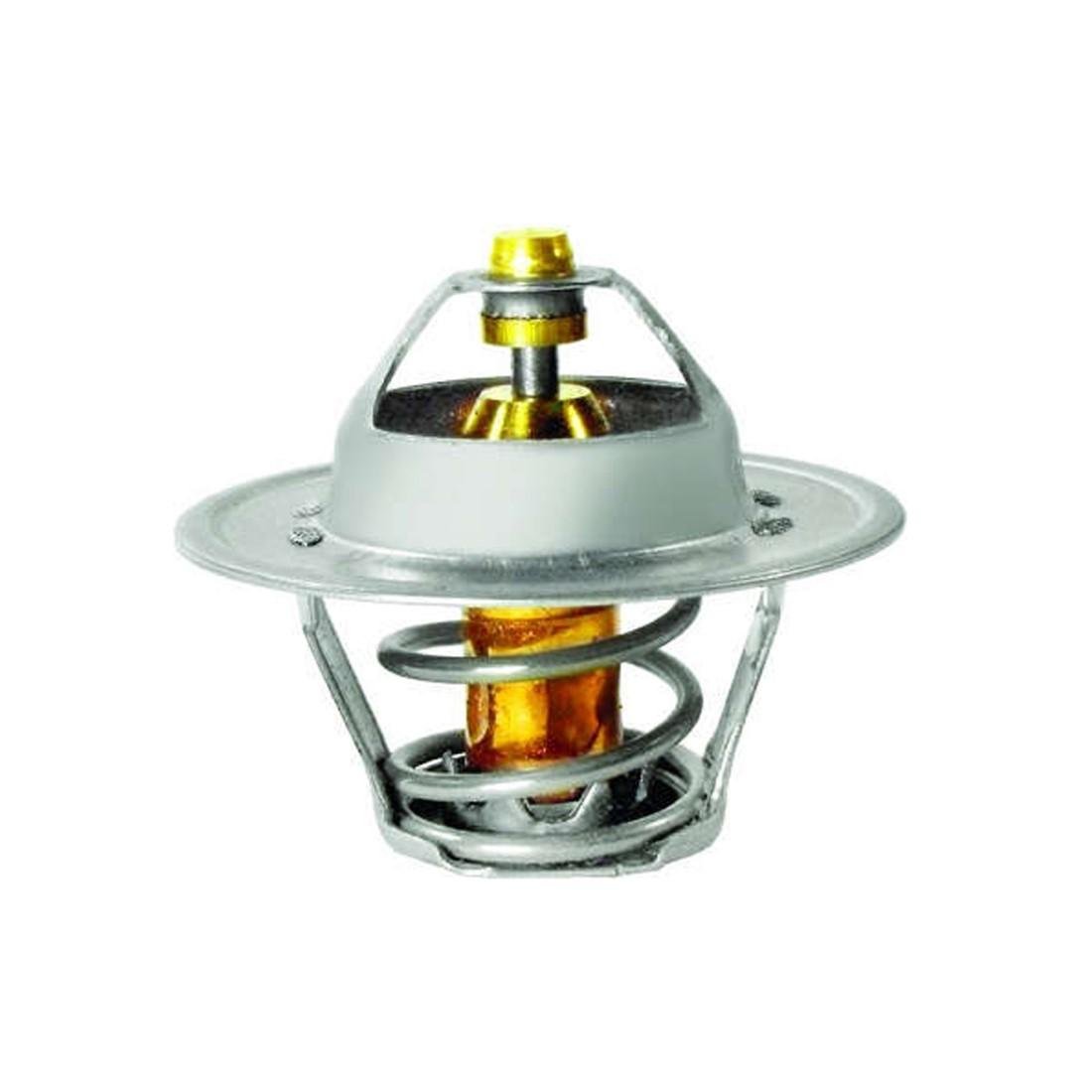 Valvula Termostatica Bora Golf Passat New Beetle Polo Variant Valclei 2294/87